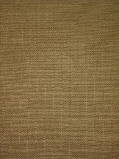 SD ZUPG  C 20*16  100*56  田字格   斜布 正面照